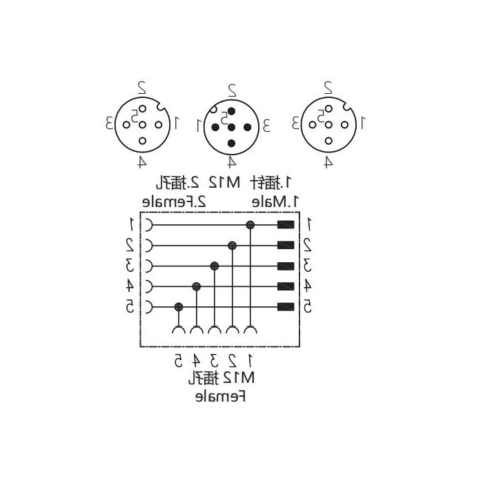 M12 5Pin母/M12 5Pin公+M12 5Pin母，y型连接器，644443